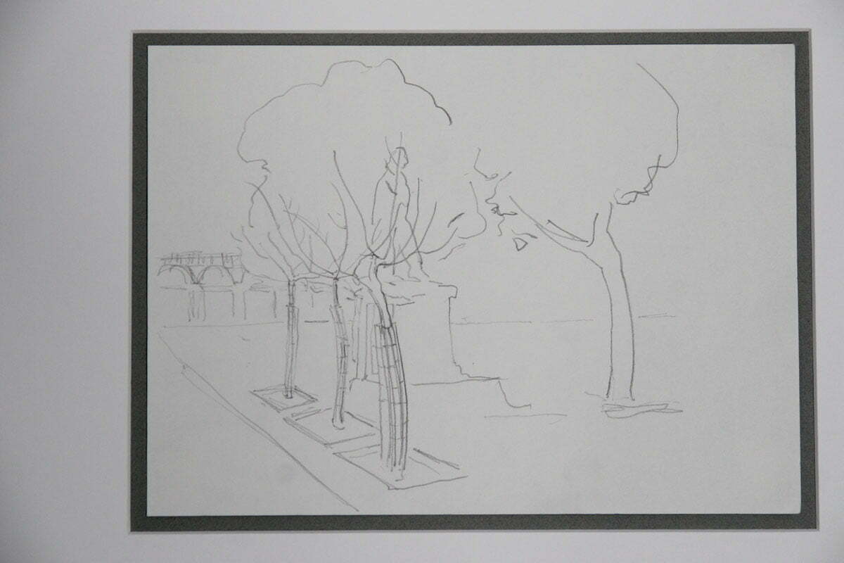 Nice. Dormant young trees. Drawing